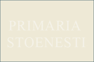 Primaria Mihaesti